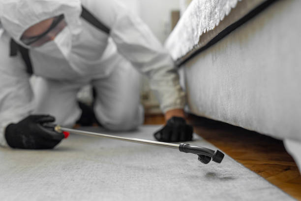 Professional Cockroach Control technician working in Saxapahaw, NC