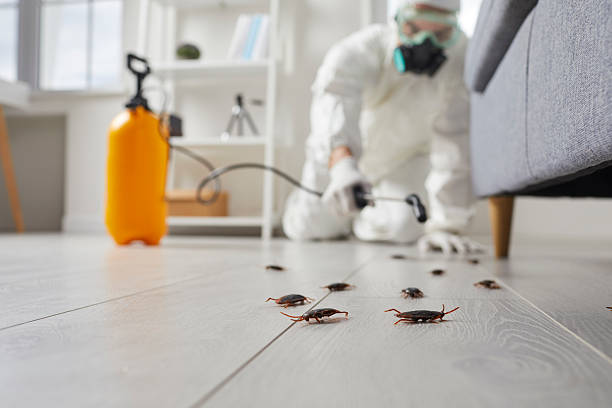 Trusted Rodent Control service in Saxapahaw, NC - Nex Pest Control