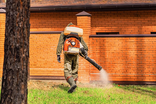 Trusted Bed Bug Control service in Saxapahaw, NC - Nex Pest Control